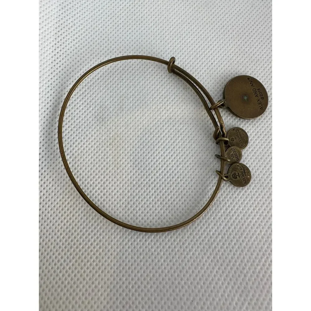 Alex and Ani great preowned